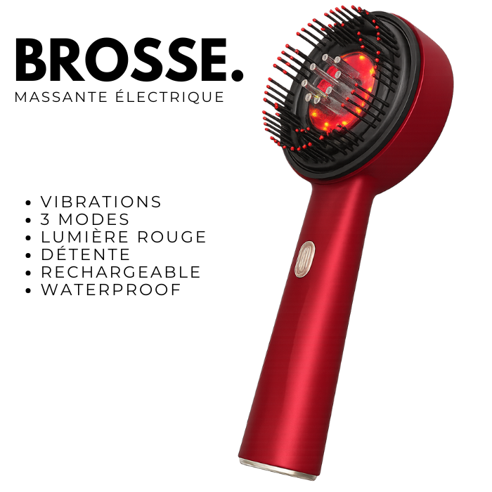 brosse cuir chevelu et soin